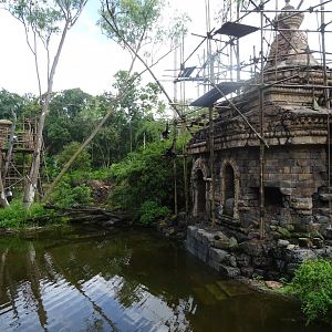Gibbon Enclosure at Disney's Animal Kingdom (2014)