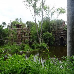 Gibbon Enclosure at Disney's Animal Kingdom (2014)