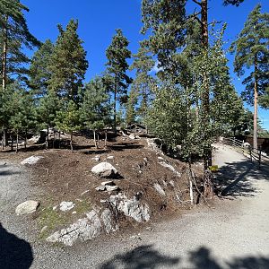 Kangaroo/Wallaby Walk Through