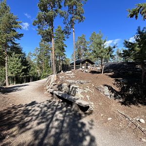 Kangaroo/Wallaby Walk Through