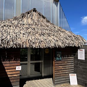 Tropical House Entrance