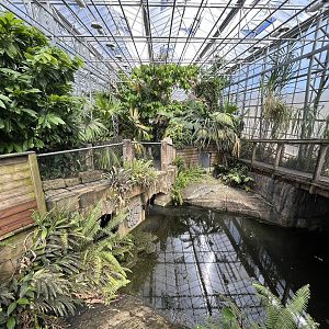 Cuban Crocodile Exhibit