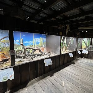 Venomous Snake House