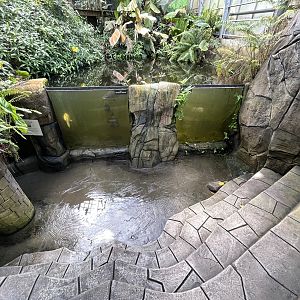 Giant Amazon Fish Exhibit