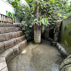 Giant Amazon Fish Exhibit