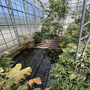 Giant Amazon Fish Exhibit (overview)