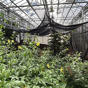 Snake Jungle + Butterfly Area