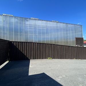 Tropical House (side view)