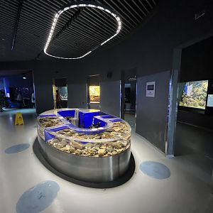 Northern Lakes and Seas