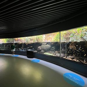 Tropical Lakes and Rivers