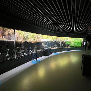 Tropical Lakes + Rivers (stunning!)