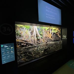 Tropical Tank (12 species)