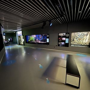Assorted Exhibits (wide pathways)