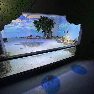 Touch Tank