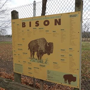 101 Uses for Bison