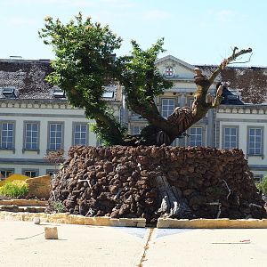 "Egg of the World", part of future entrance area - Tree of life, 2022-06-28