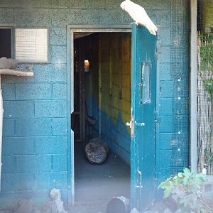 Indoor housing for Eleonora sulphur-crested cockatoo and Australian brush turkey, 2022-06-28