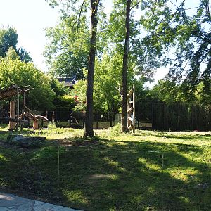 Asiatic black bear exhibit, 2022-06-28