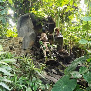 Waterfall and statue in the Tropicalia greenhouse, 2022-06-28
