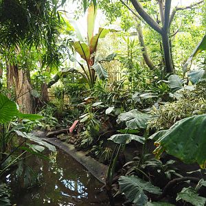 View in the Tropicalia greenhouse, 2022-06-28