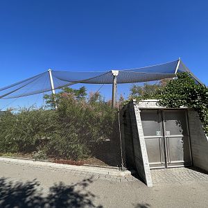 Flamingo Aviary - nice!