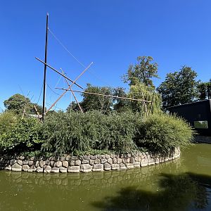 Squirrel Monkey Island