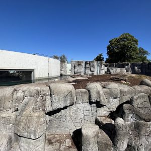 Polar Bear Exhibit - too small!