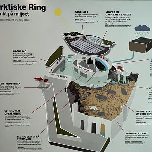 Arctic Ring