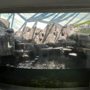 Seabird Aviary