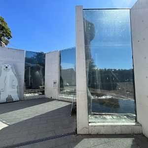 Polar Bear Exhibit