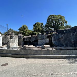 Old Polar Bear Grotto