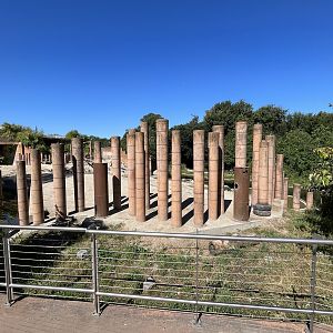 Elephant Exhibit Viewpoint- ugh!