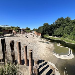 Asian Elephant Exhibit