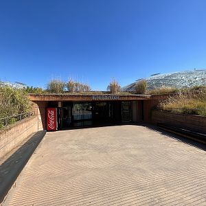 Elephant House Entrance