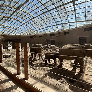 Elephant House - spectacular