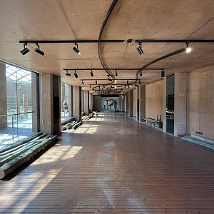 Elephant House - visitor area