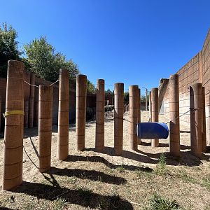 Elephant Viewing - ugh!