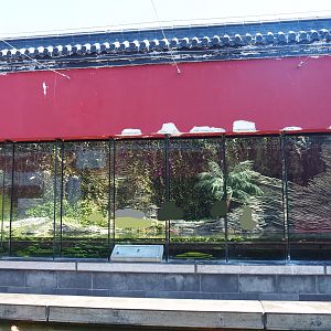 New juvenile Gharial exhibit, 2022-06-28