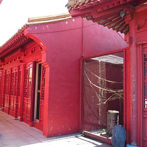 Domestic canary house and aviary, 2022-06-28