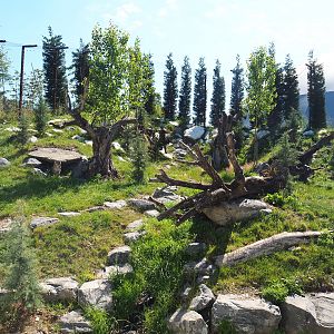 Snow leopard exhibit, 2022-06-28
