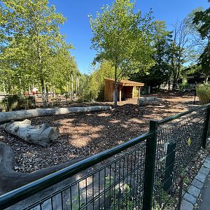 Malayan Tapir Exhibit
