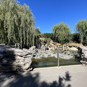 Small-clawed Otter Exhibit