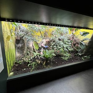 Tropical House Exhibit