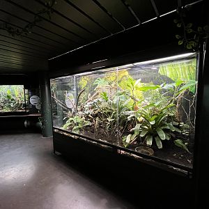 Tropical House Exhibit