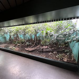 Tropical House Exhibit