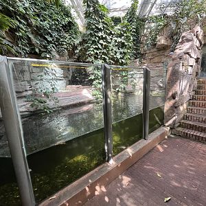 West African Crocodile Exhibit