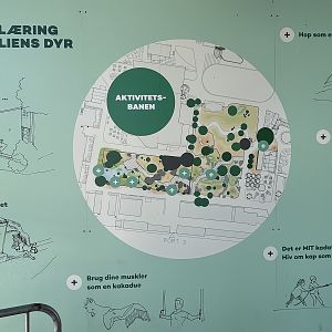 Future Australian Zone