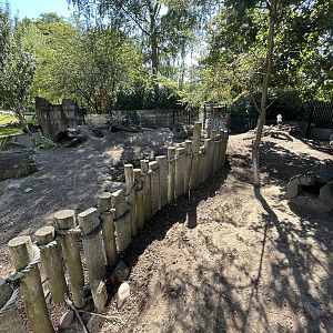 Tasmanian Wombat Exhibit