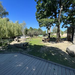 Macropod Walk Through