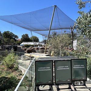 Future Australian Aviary